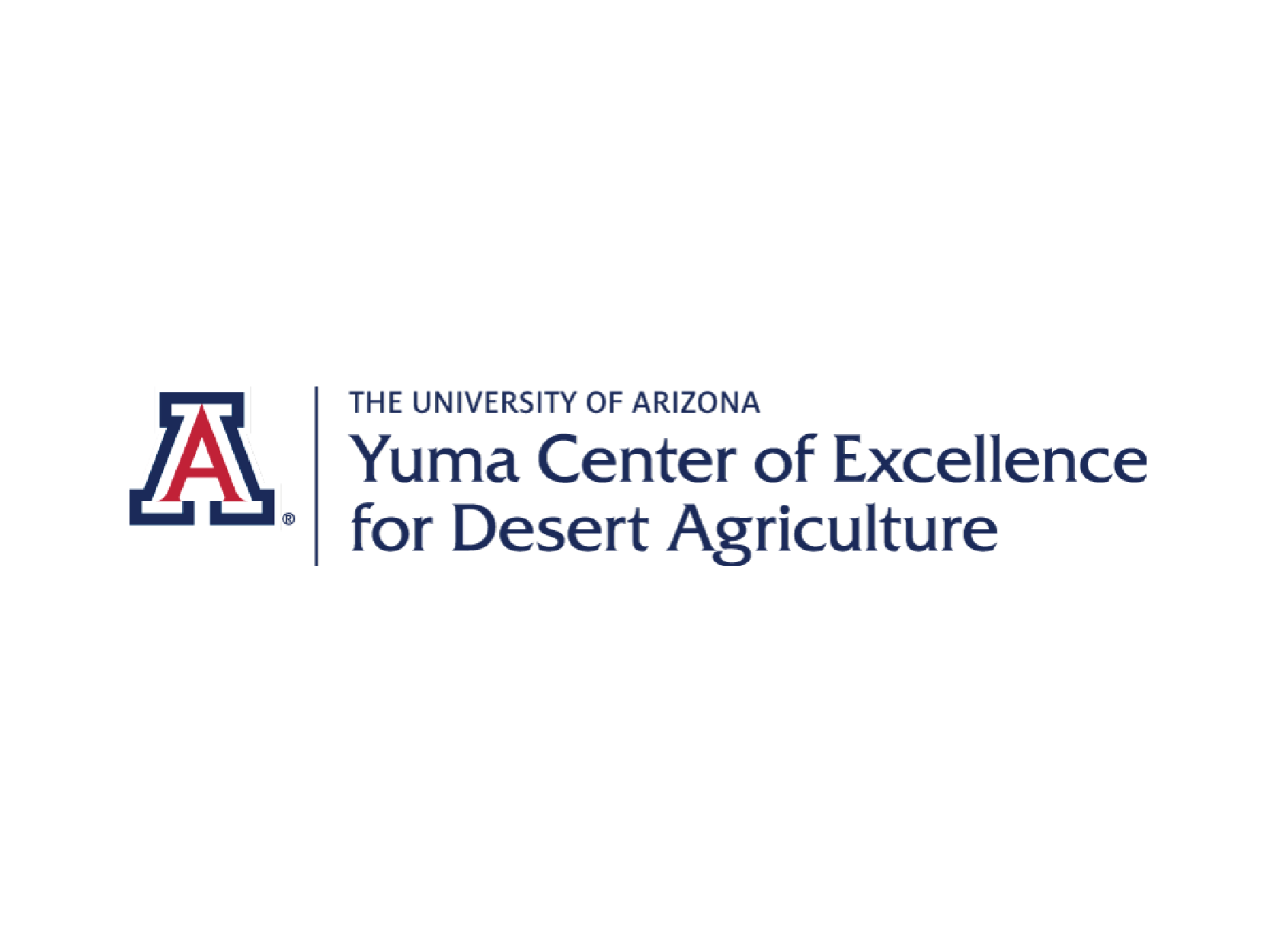 YCEDA / University of Arizona